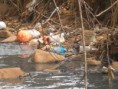 /album/corrego-agua-branca/imagem-154-jpg/